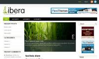 Шаблон «Libera» для WordPress