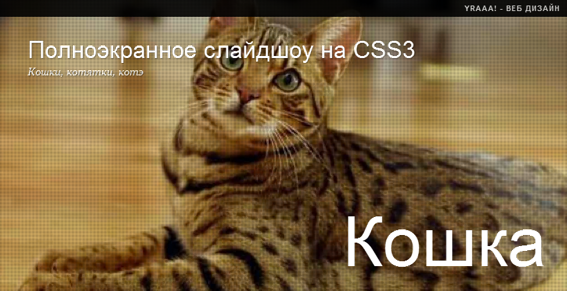 Полноэкранное слайдшоу на CSS3